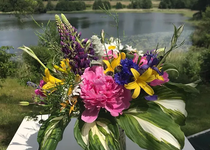 Ferienhaeuser Poenitz Am Klingberg